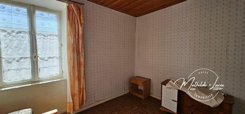 photo no. 11