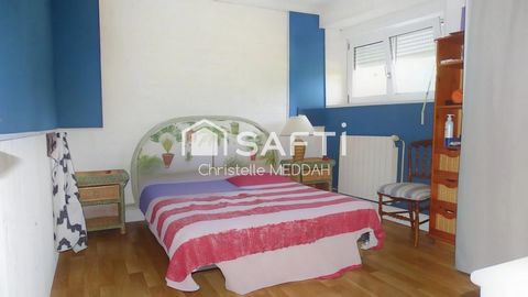 photo no. 5