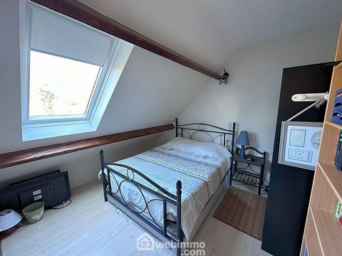 photo no. 11