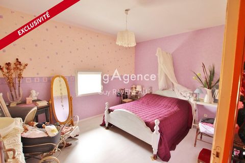 photo no. 8