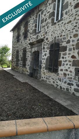 photo no. 4