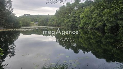 La tranquillité absolue avec un étang d' un hectare et maison de plain-pied