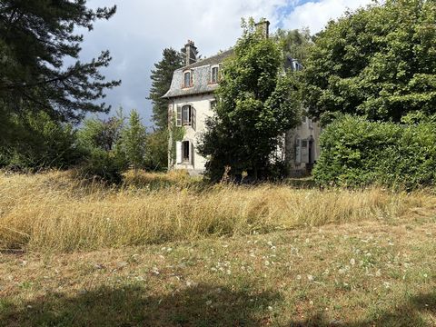 photo no. 9