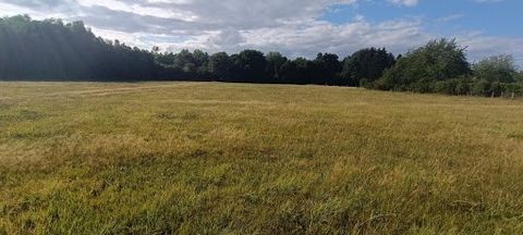terrain plat à bâtir à Luxeuil-Les-Bains 70300. rare à la vente d'une superficie de 9159M2. Situé dans une rue au calme et peu passante. Ce terrain est constructible sur les 2/3 ( 6100m2 environ ) Certificat d'urbanisme ok. accès direct a la D6 qui d...