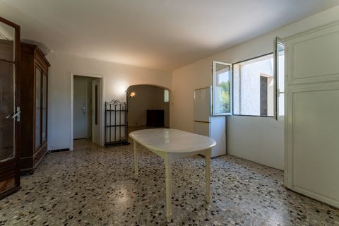 photo no. 13