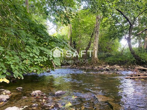 photo no. 13