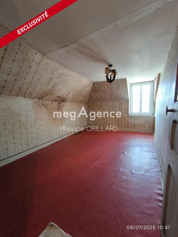 photo no. 4