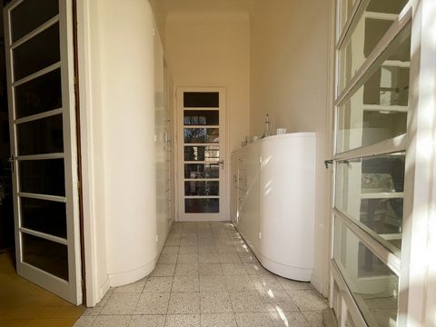 photo no. 16