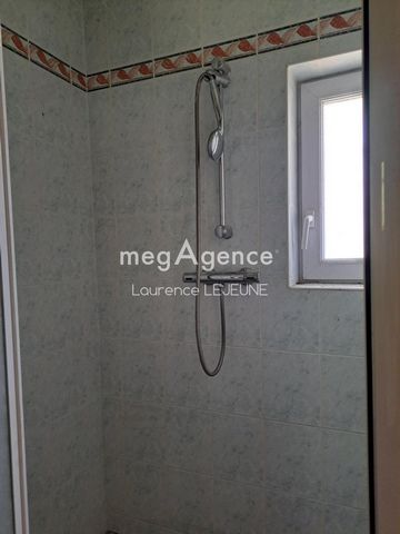 photo no. 9