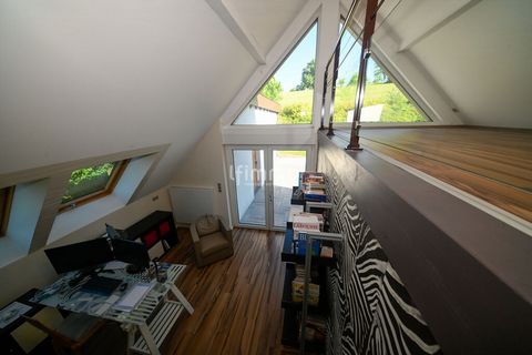 photo no. 17