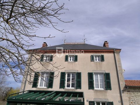 photo no. 8
