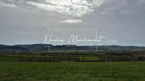 photo no. 17