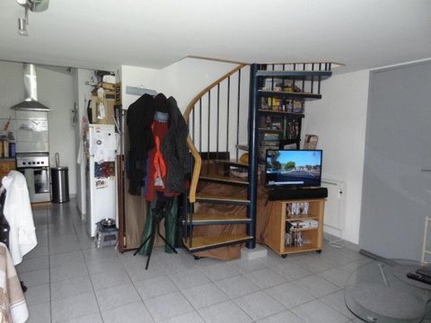 photo no. 12