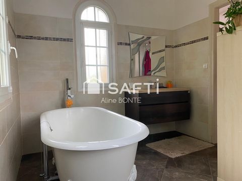 photo no. 11