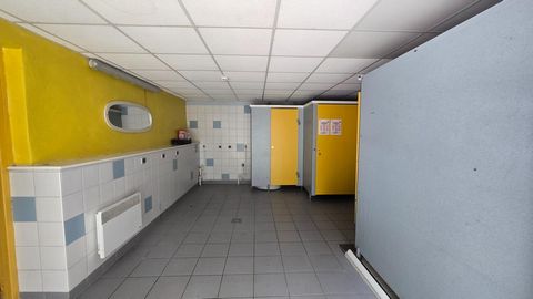 photo no. 12