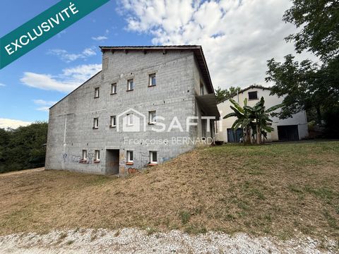 photo no. 13