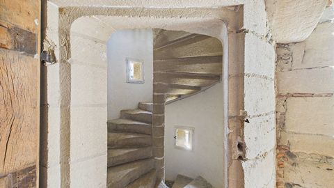 photo no. 7