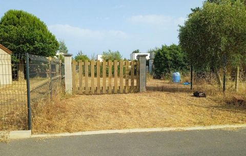 photo no. 1