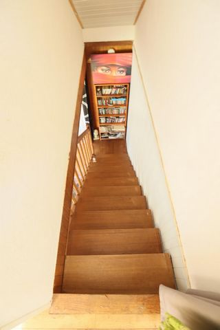 photo no. 8