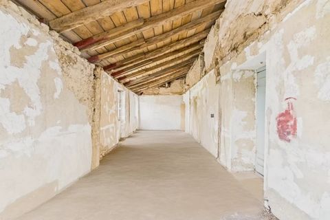 photo no. 6