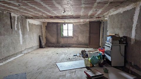 photo no. 20