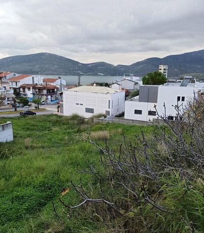 Evia, Chalkida. A vendre une parcelle de 400 m².m., dans le plan de la ville, construisable, à 180 m de la mer avec vue sur la mer, en pente. La propriété située dans la région de Kanithos Nikitaras, près d’Agios Nektarios. Prix 130.000 € Éléments su...