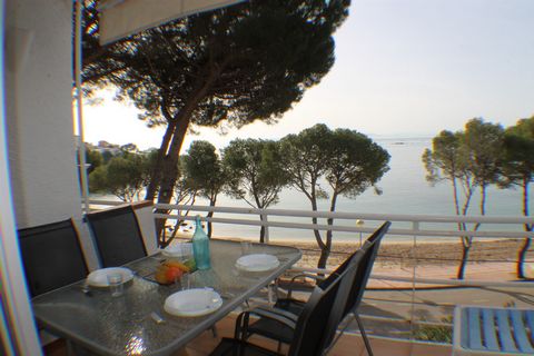 Cet appartement avec vue sur la mer est situé à Rosas (Roses en catalan), une ville espagnole située dans la province de Gérone, en Catalogne. L'appartement fait partie d'un quartier charmant au bord de la mer et se trouve à seulement 2 km de la vill...