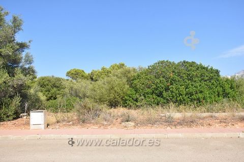 Plot of approx 460m2 developable with the possibility of building a house of 165m2 + porch + terrace + basement + pool in Cala d'Or. The plot is close to school, supermarkets and just 1km walk to the beaches of Cala Ferrera and Cala Gran.