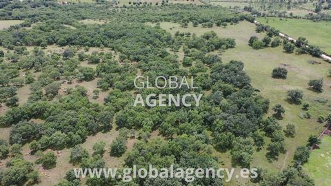 **FULL VIDEO IN THE PHOTOS SECTION** Farm of 30 hectares with a construction of 60m² as a corral or warehouse, water from a stream that crosses the entire farm with hunts to distribute it. Just 40 minutes from Madrid, in the protected area of the Reg...