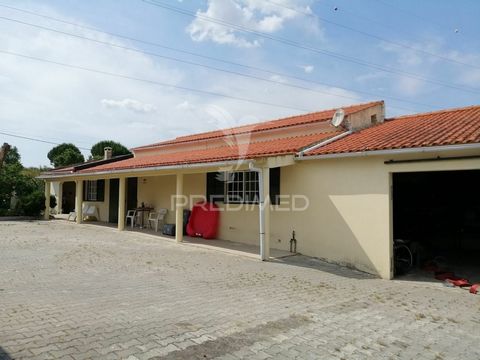 Small farm with 4000m2 with 2 houses T3 + T1 Large, Located in Cartaxo Come and see this excellent villa located 8 minutes from the A1 Aveiras exit and 3 minutes from Cartaxo. It is a 3 bedroom villa with immense potential, it is in excellent housing...