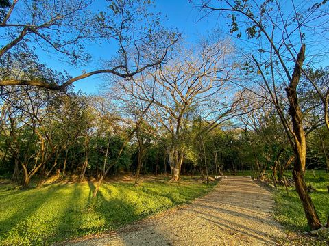 A gem by excellence, this lot is a hidden treasure in the Nosaran jungle, a property with a promising ample space, surrounded by natural landscapes, private, quiet and in a super top location such as L Section in Guiones, Nosara, Guanacaste. Just a f...