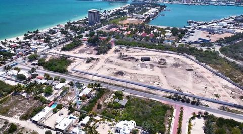 Il nostro progetto consiste in una moderna suddivisione residenziale a soli 300 metri dalla spiaggia di Yucalpetén, nello Yucatán. Situato a soli 5 minuti da Progreso. Lo sviluppo dispone di 55 lotti unifamiliari per costruire la casa dei tuoi sogni ...