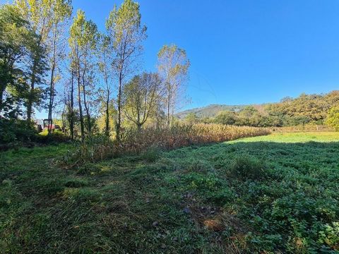 Description Terrain rustique de 1 250 m² tout appartement. Près de la rivière Vade. Bonne exposition au soleil. Près du centre de Ponte da Barca. Descriptif du cadastre : cultures arables irriguées. Possibilité d’acquérir un autre terrain contigu de ...