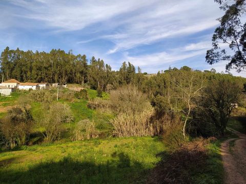 Baugrundstück, perfekt für diejenigen, die davon träumen, alle Oberflächen und Materialien ihres eigenen Hauses zu bauen und auszuwählen. Eingebettet in die Pfarrei Santa Catarina, in Caldas da Rainha, mit freiem Blick auf die Landschaft, 5 km von Be...