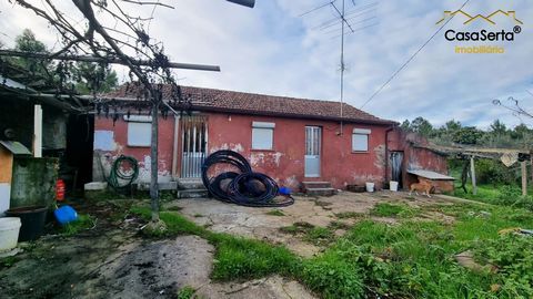 Si vous êtes à la recherche d’un endroit calme et confortable pour vivre ou passer des vacances, c’est la ferme idéale pour vous. Située à seulement 10 minutes du village de Sertã, cette propriété offre une maison habitable (bien qu’ayant besoin de q...