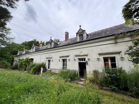 C'est à Vallières les Grandes, à 14km d'Amboise - 8km de Chaumont sur Loire - 16km de Chenonceau, au coeur de la Vallées des Chateaux, que se situe cette belle propriété du 19ième siècle avec un parc ombragé et des dépendances. Cette propriété est pr...