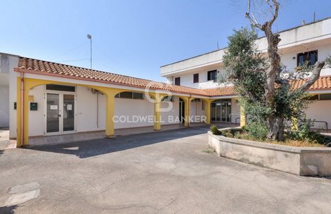 PUGLIA - SALENTO - CARPIGNANO SALENTINO In Carpignano Salentino, a town in the heart of Grecìa Salentina, we offer for sale a commercial space of approximately 350 m2. You enter a large open space which, given its size, was previously used as a super...