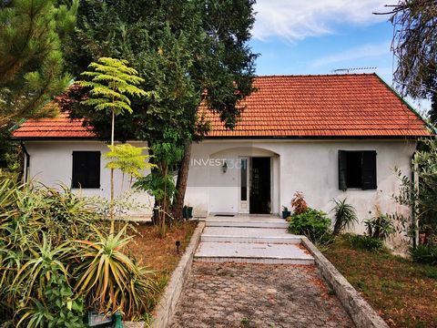 Villa mit 2 Schlafzimmern und 3.000 m2 Land in Rebordosa, Paredes. Diese Villa besteht aus 3 Etagen, Erdgeschoss, 1. Stock und Dachgeschoss, und befindet sich auf einem riesigen Grundstück und Garten mit mehreren Obstbaumarten. Ideal für diejenigen, ...