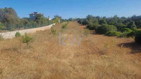 Rustic land, flat, with an area of 5330 m2, located in Benagaia-Pera-Alcantarilha, composed of carob trees. It is bordered to the north by a tarmac road, to the south, east and west by neighboring land. Quiet area, with countryside views. Water and e...