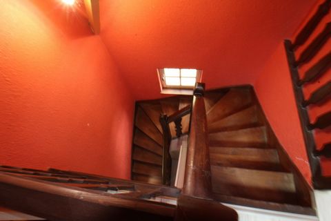 photo no. 7