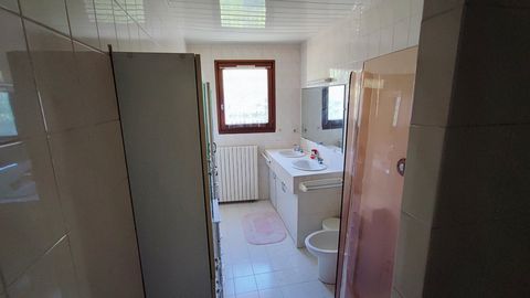 photo no. 5