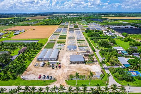 UBICACIÓN PRIVILEGIADA DE REDLAND .... 14 HECTÁREAS REGADAS CON TIENDA. CASA DE ROCÍO, REMOLQUE DE OFICINA, FPL, SÉPTICO, ETC. EL USO ACTUAL ES COMO VIVERO DE CONTENEDORES. LA MAYOR PARTE DEL MATERIAL SE HA IDO, SE HA LIMPIADO Y ESTÁ LISTO PARA ?... ...