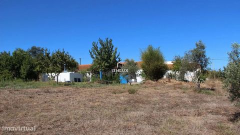 Boerderij met 2.1714 hectare met een huis met 166m2, bestaande uit 3 slaapkamers, 1 badkamer, keuken en twee woonkamers, 1 met open haard, plus verschillende landbouwsteunen, waardoor een totale bouwoppervlakte van 279m2 ontstaat. Het heeft een bouw ...