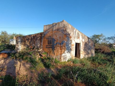 Land met 10.986 m2 met geïsoleerde ruïne - op Estrada Barranco da Nora in Tavira, Algarve. Land met wat bomen. Allemaal omheind met drie poorten en drie toegangen. Gelicentieerde waterpoel. Eenfasige en driefasige elektriciteit. Met project voor een ...