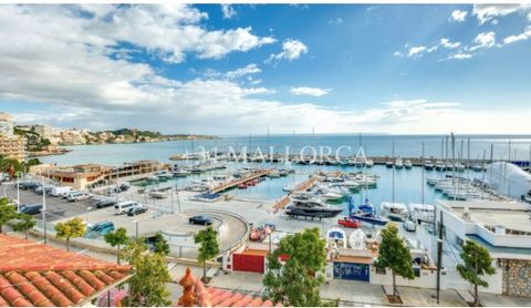 Casa espectacular de estilo mallorquín en primera línea del PUERTO DE CALANOVA. Posibilidad de convertir en tres viviendas. Actualmente hay una casa de tres plantas más una anexa. Son 358m2 construidos más un garaje de 59m2 más dos locales comerciale...