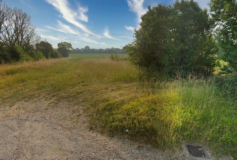 Très bien situé à deux pas du village de Saint Ouen de Mimbré, superbe terrain plat de 1492 m2 en bordure de champs avec tous les réseaux à proximité. Terrain de 32 m en façade X 46 m de profondeur mais possibilité d'y créer 2 parcelles. Certificat d...