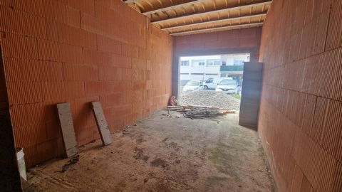 photo no. 6