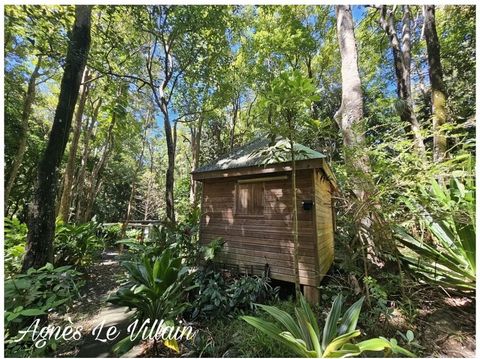 Propriété Maison + 3 Gites sur 5 000 m2 de Forêt