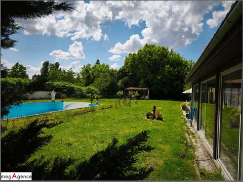photo no. 11