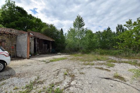 photo no. 13